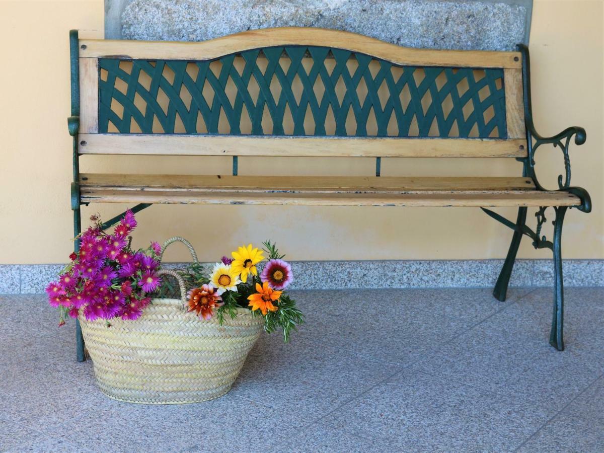 Lovely Sunny-House Viana do Castelo Dış mekan fotoğraf