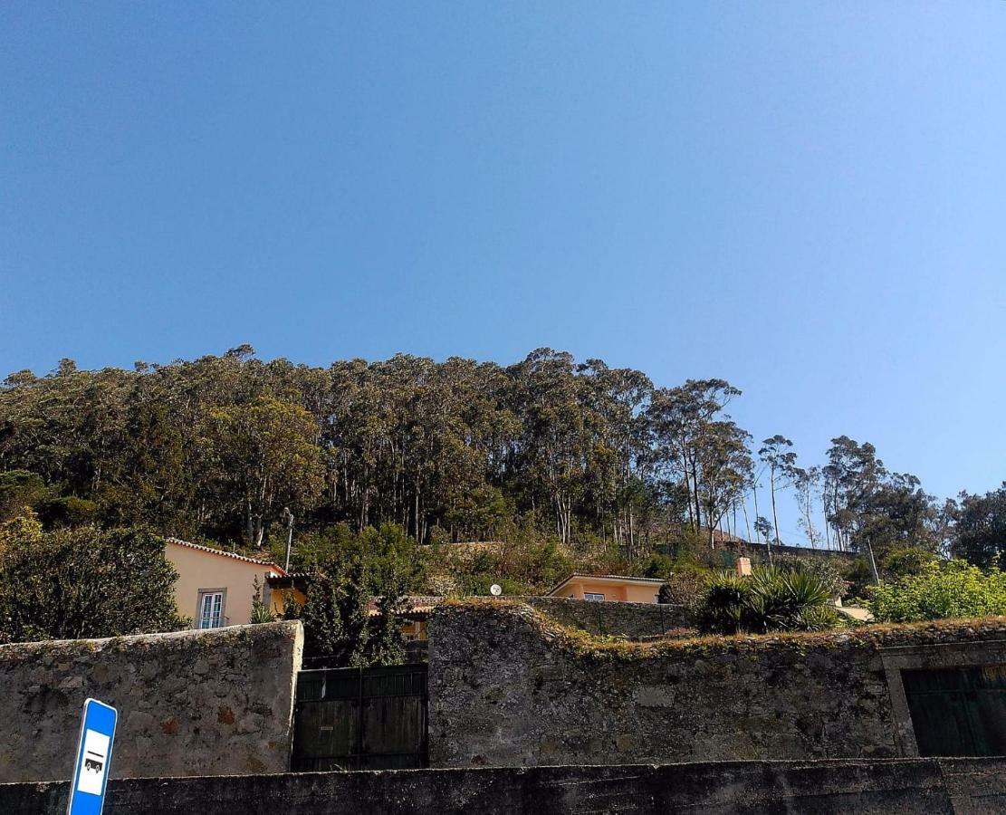 Lovely Sunny-House Viana do Castelo Dış mekan fotoğraf